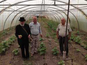 Fr Dale, Mochtar Zacharia and the Mayor ProTem in the Greenhouse 