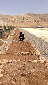 Gardens in Waiting at the Barnabas Project